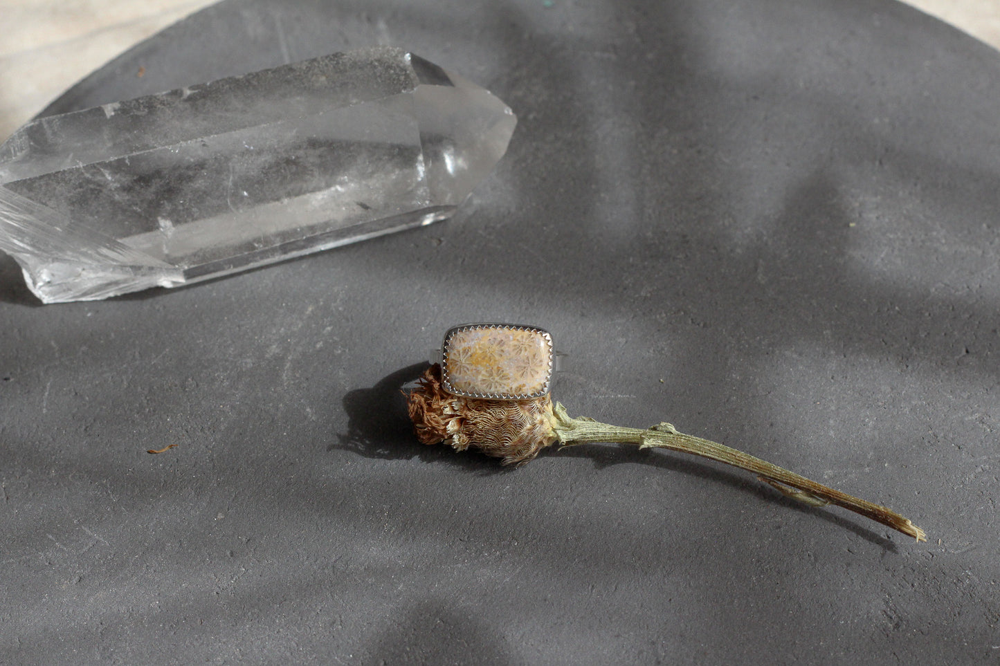 Fossilized Coral Ring // size 8