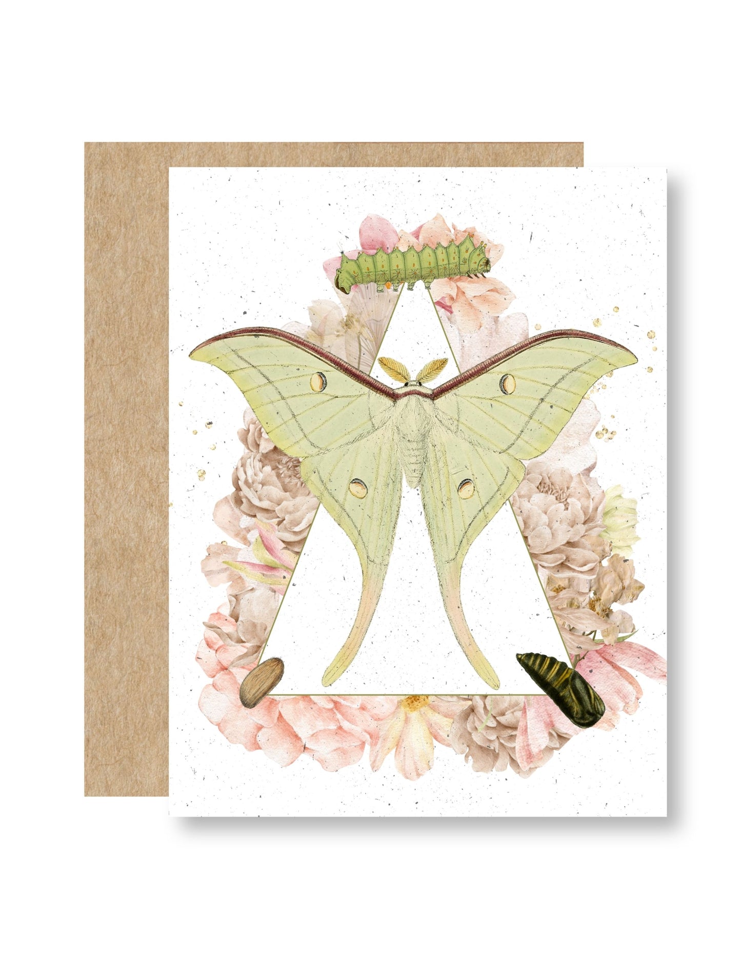 Into the Wild Becoming greeting card